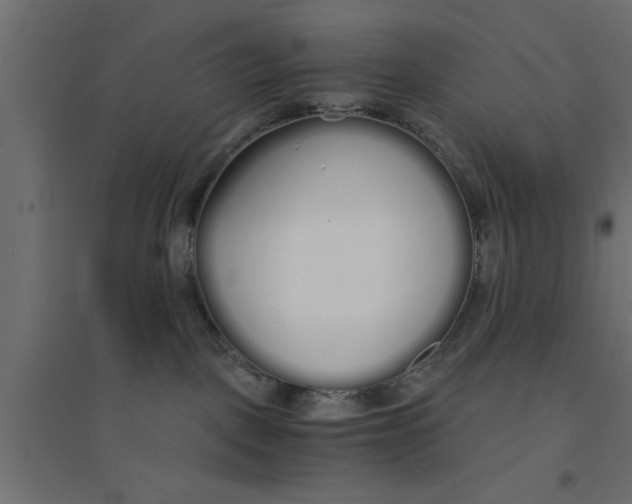 X0000094320093200711241816