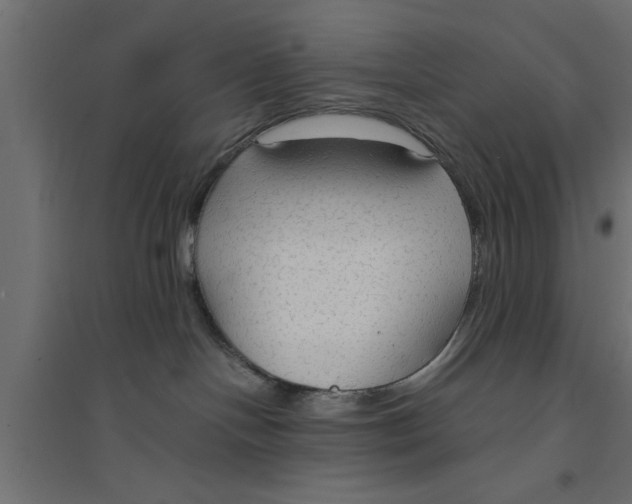 X0000094320094200711241816