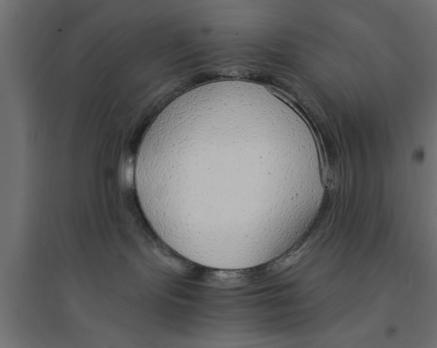 X0000094320095200711241816