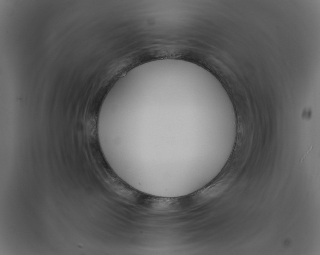 X0000094320096200711241817