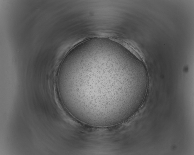 X0000094320097200711241816
