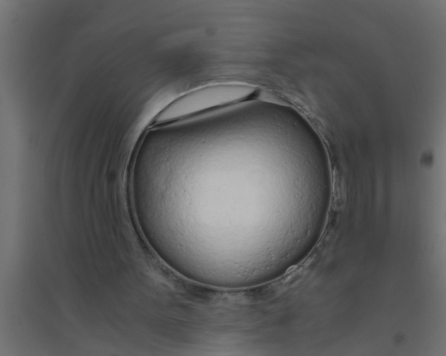 X0000094320099200711241816