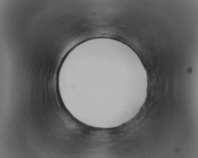 X0000094320100200711241816