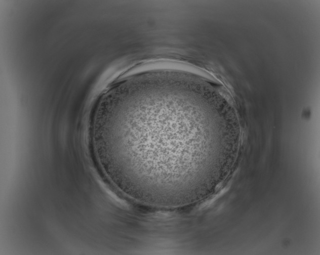 X0000094320101200711241816