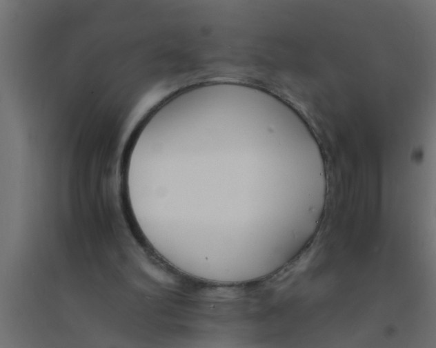 X0000094320102200711241816