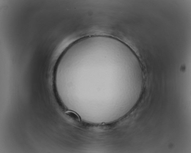 X0000094320103200711241816