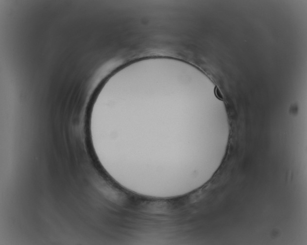 X0000094320104200711241816
