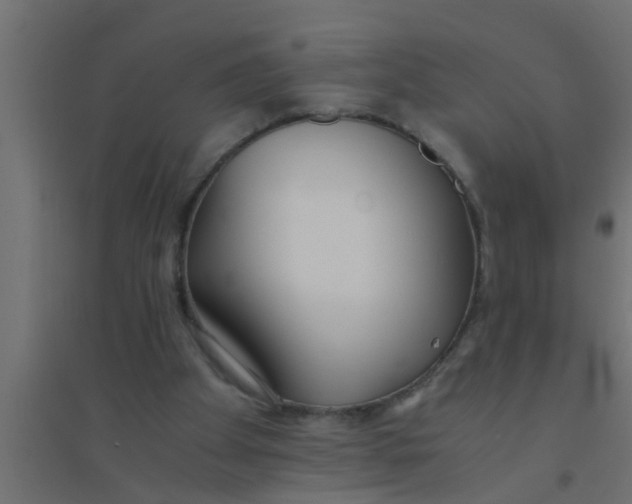 X0000094320105200711241816