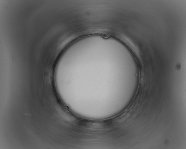 X0000094320107200711241816