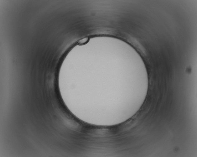 X0000094320108200711241816