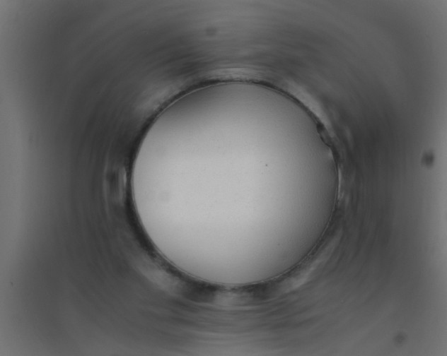 X0000094320109200711241815