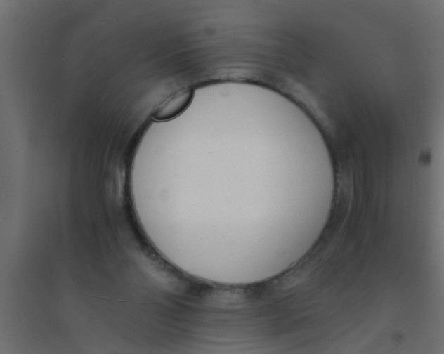 X0000094320110200711241815