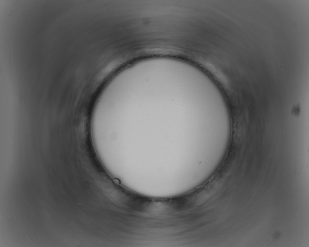 X0000094320111200711241815