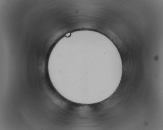 X0000094320112200711241815
