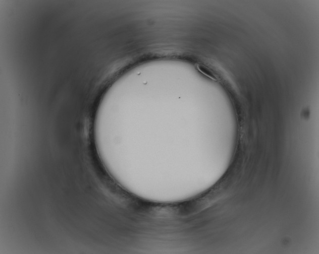 X0000094320115200711241815