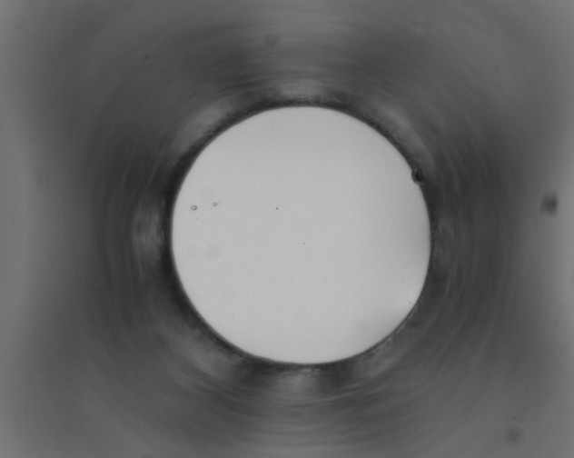 X0000094320116200711241815