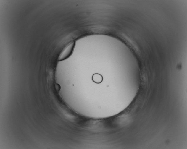 X0000094320117200711241815