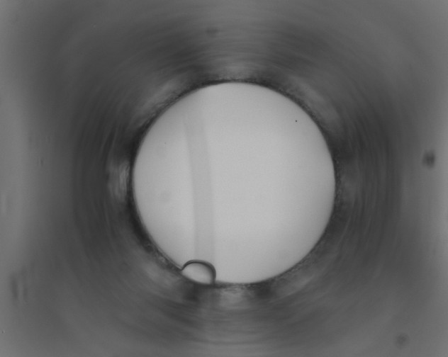 X0000094320118200711241815