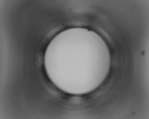 X0000094320119200711241815