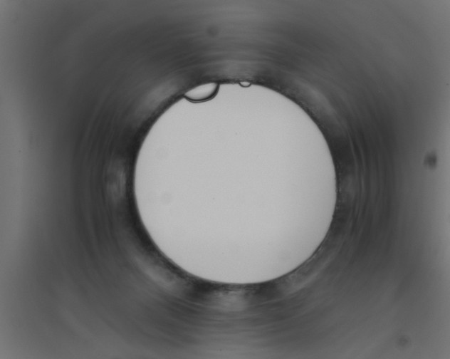 X0000094320120200711241815
