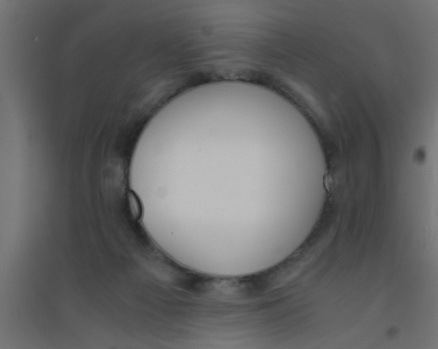 X0000094320121200711241815
