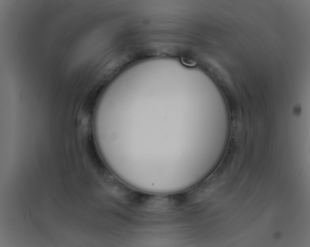 X0000094320123200711241815