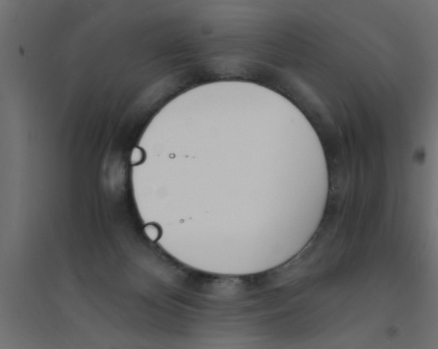 X0000094320124200711241815