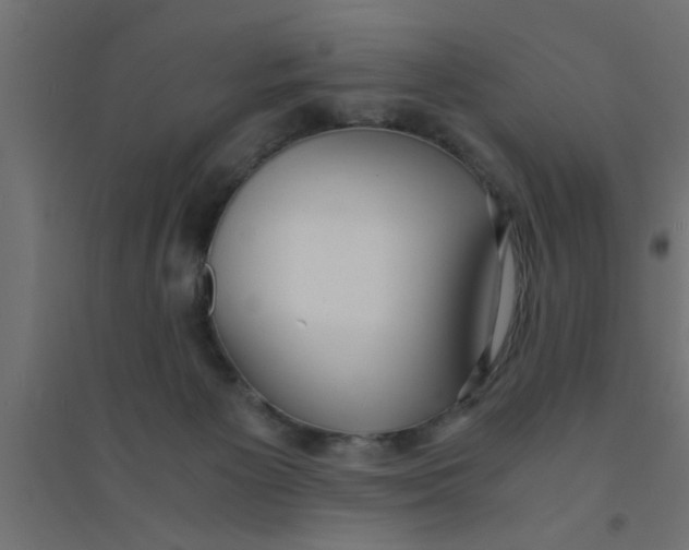 X0000094320125200711241815