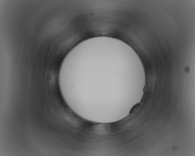X0000094320126200711241815