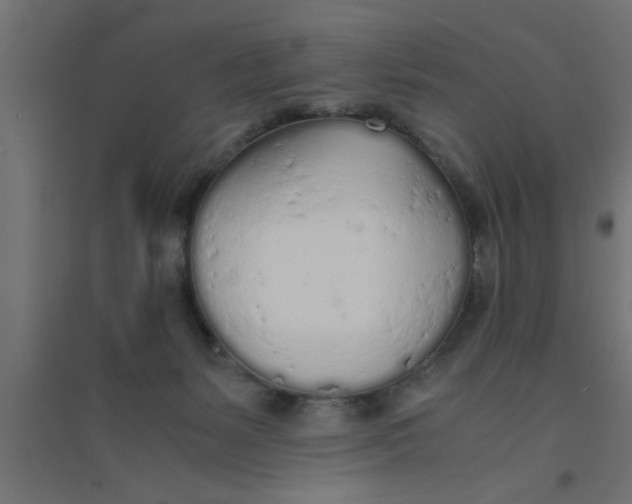 X0000094320127200711241815