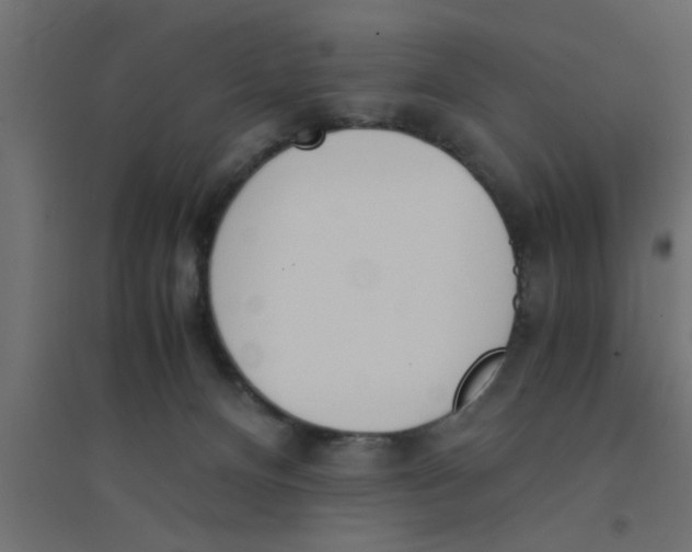 X0000094320128200711241815