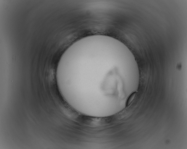 X0000094320130200711241815