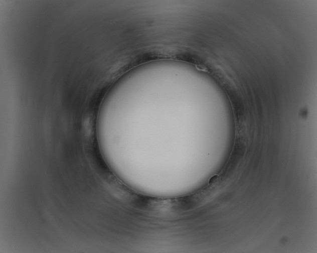 X0000094320131200711241815