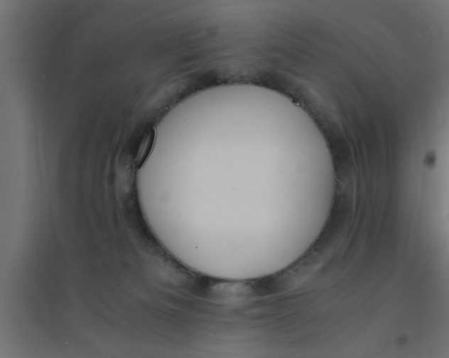 X0000094320133200711241815