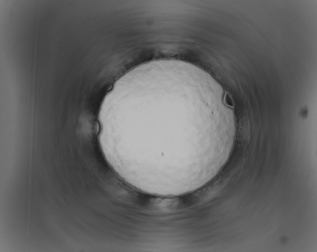X0000094320135200711241815