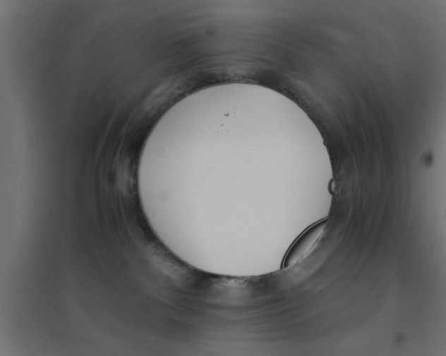 X0000094320140200711241815