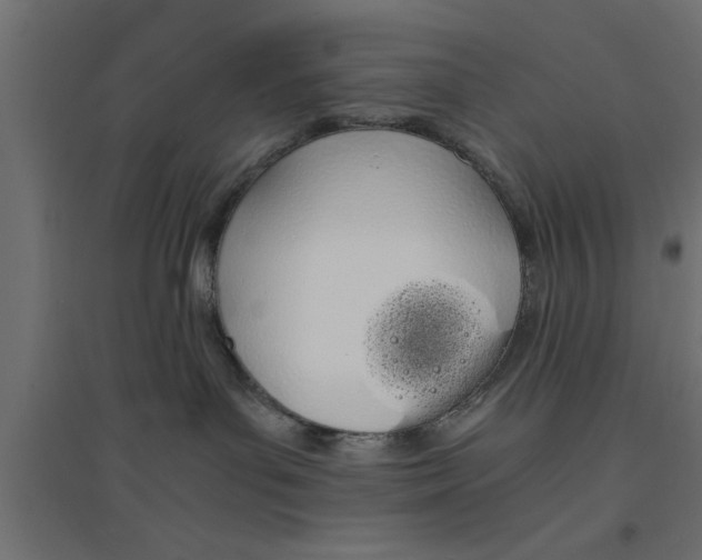 X0000094320143200711241815