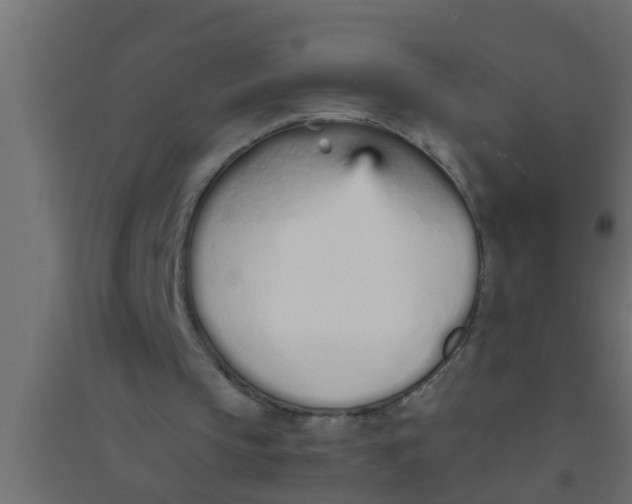 X0000094320145200711241814