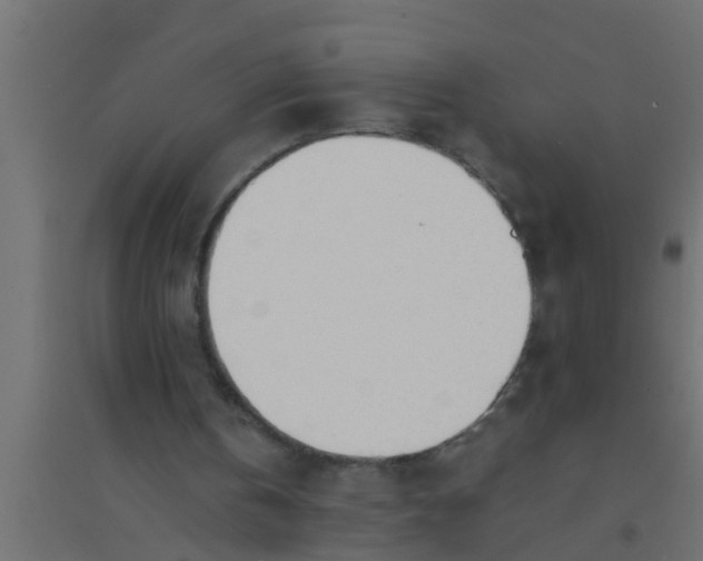 X0000094320146200711241814
