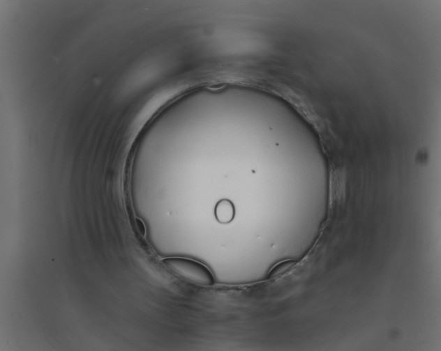 X0000094320147200711241814