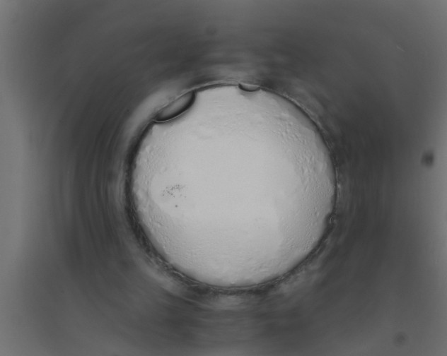 X0000094320149200711241814