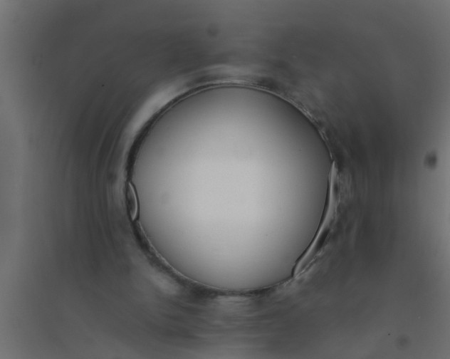 X0000094320150200711241814