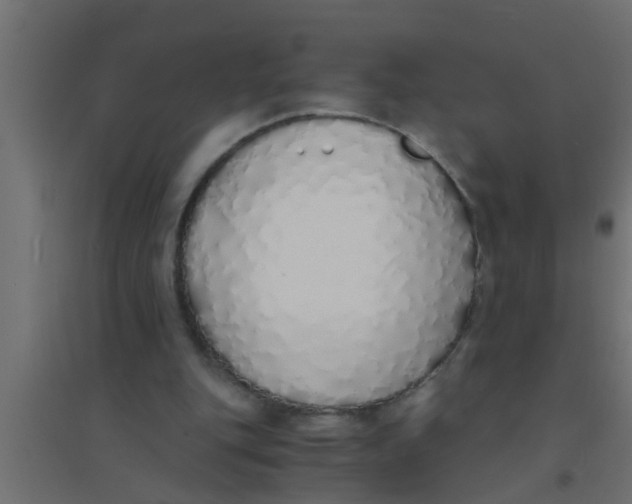 X0000094320151200711241814