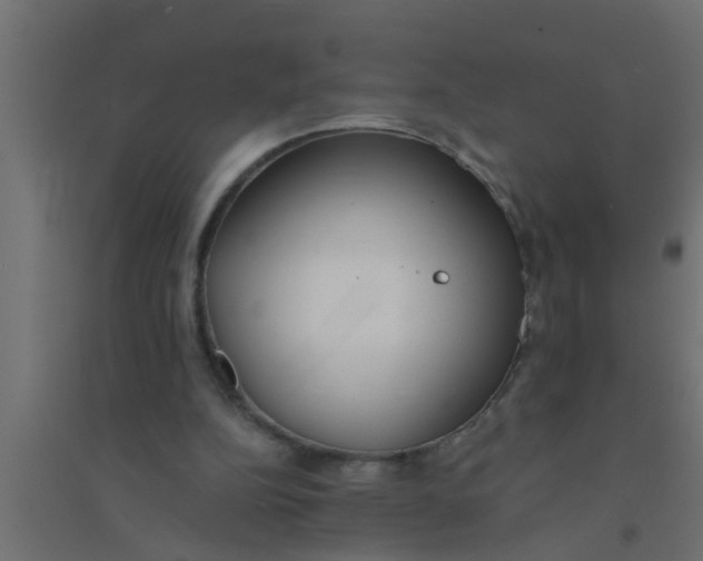 X0000094320152200711241814