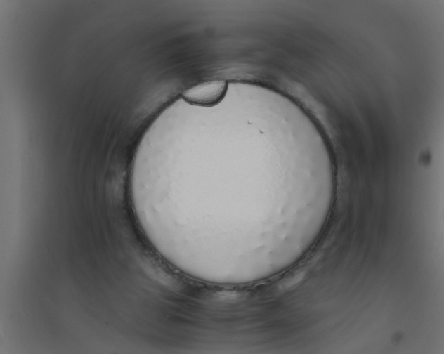 X0000094320153200711241814