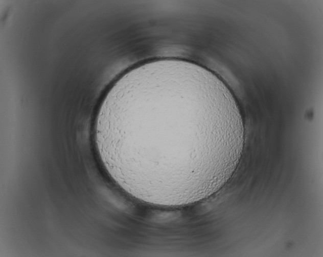 X0000094320155200711241814