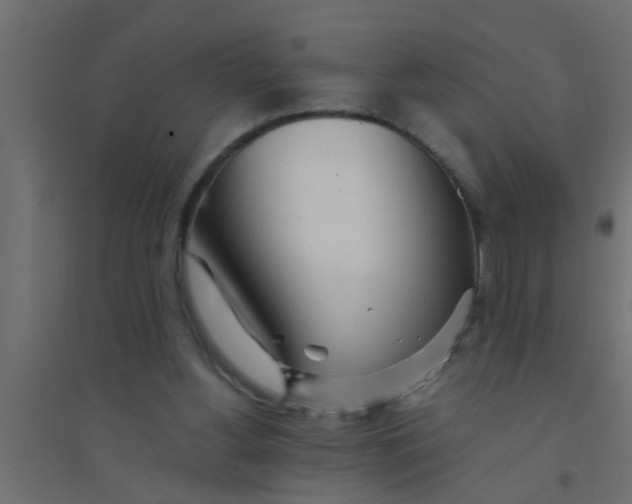 X0000094320156200711241815