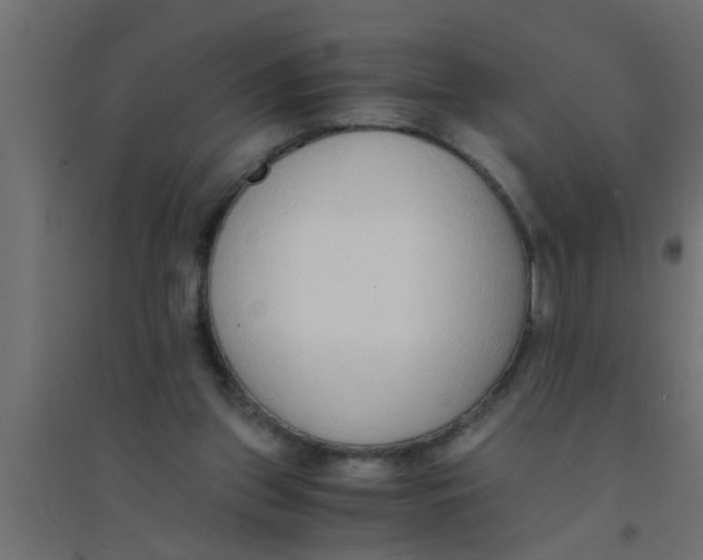 X0000094320157200711241815
