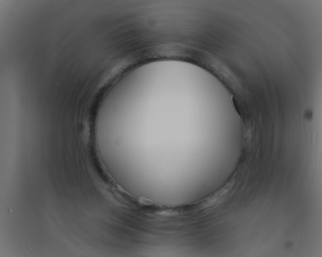 X0000094320158200711241815