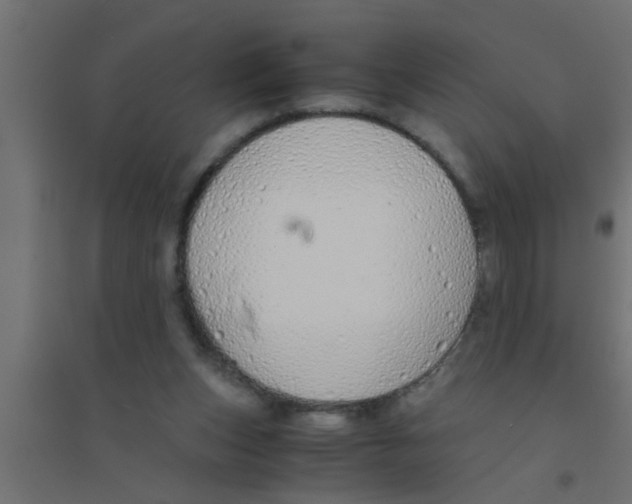 X0000094320159200711241815